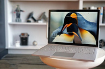 ΢Win10ʼǱSurface Book i7