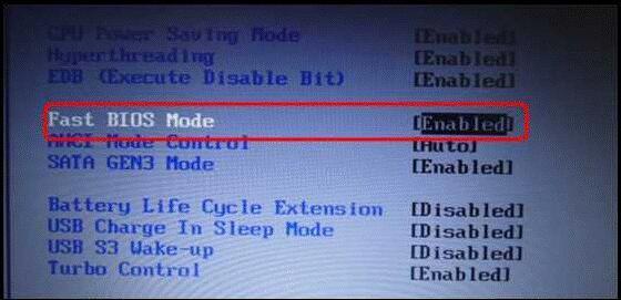 Fast BIOS Mode
