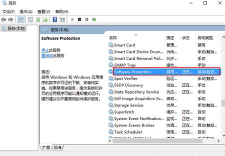 “software protection”