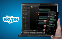 SkypeԤֳ