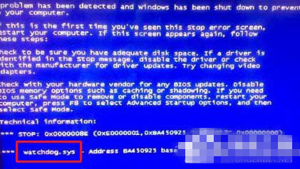watchdog.sysԭ򼰽
