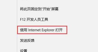 internet explorer