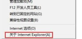 internet explorer(A)