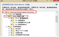 win8.1ϵͳôIIS